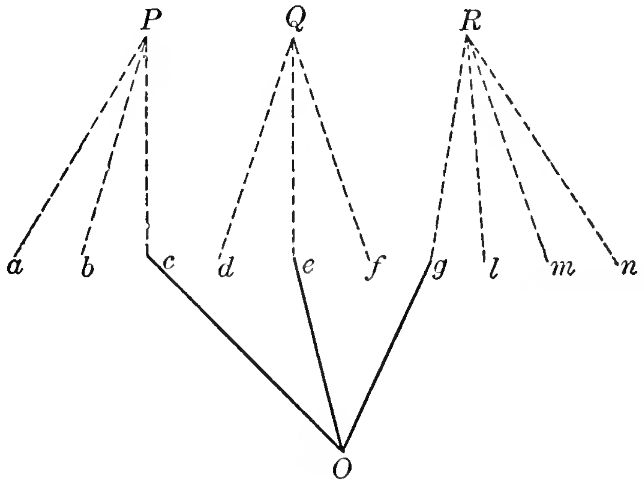 Capital letters P, Q, and R are at the top of the figure. Branching down from P are three lines going to lowercase letters a, b, and c. Similarly, Q branches out to d, e, and f, and R branches to g, l, m, and n. Below the lowercase letters is a capital O, which has three lines connecting it to c, e, and g.