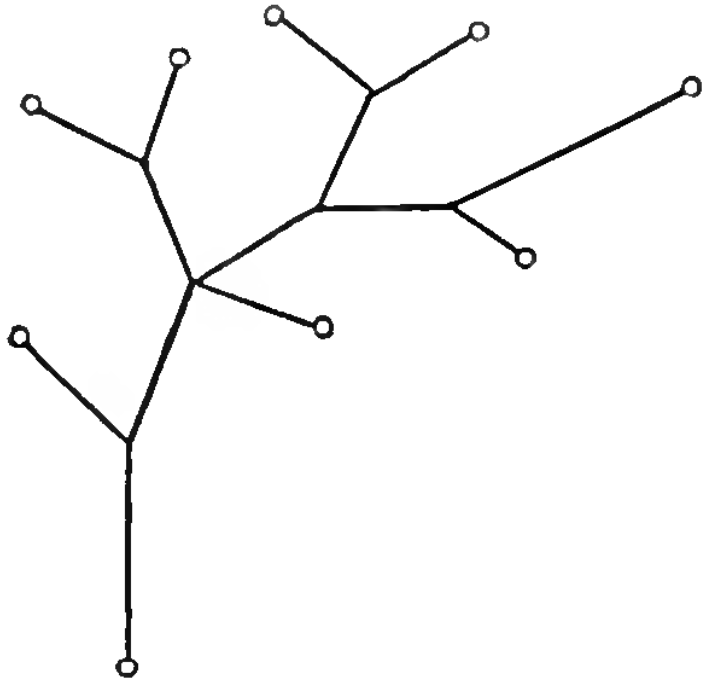 Several dots are connected by lines in the shape of a tree branch: one dot at the base of the branch and the rest at the tips of the twigs.